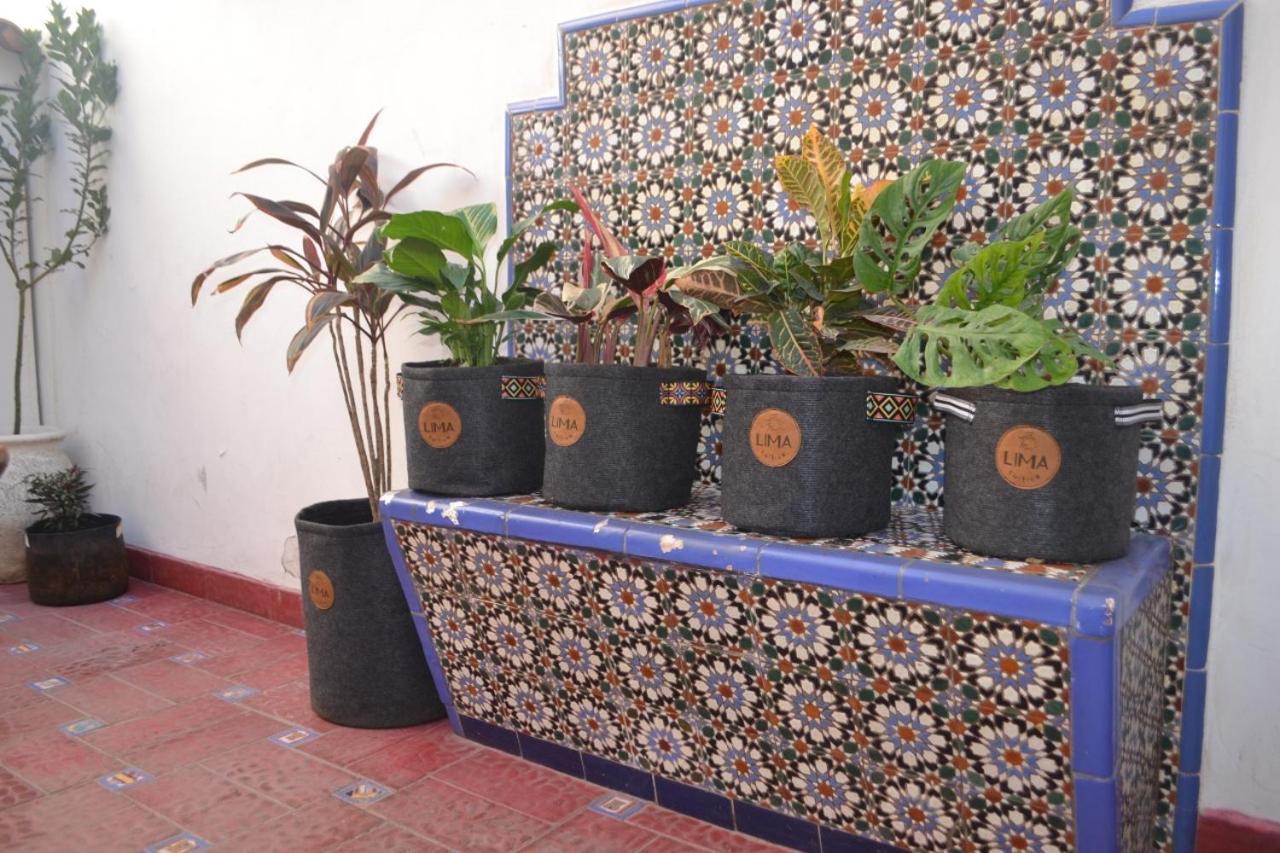 Casa Flora Bed And Breakfast 圣胡安 外观 照片